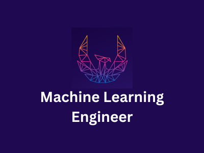 Machine Learning Engineer, Data Phoenix