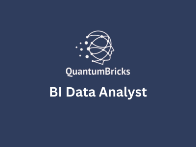 BI Data Analyst, QuantumBricks