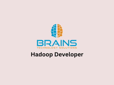 Hadoop Developer, Brains Technology