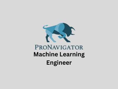 Machine Learning Engineer, ProNavigator