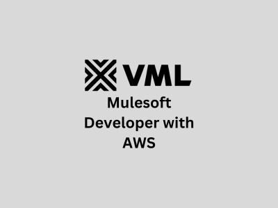 Mulesoft Developer with AWS, VML Enterprise Solutions