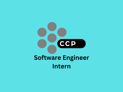 Software Engineer Intern, CCP Games