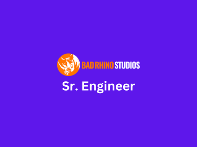 Sr. Engineer, Bad Rhino Studios